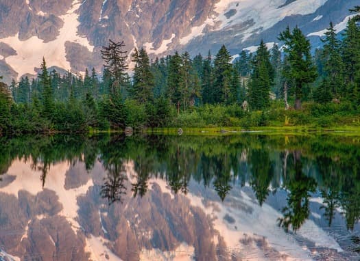 National Forest Foundation Donation