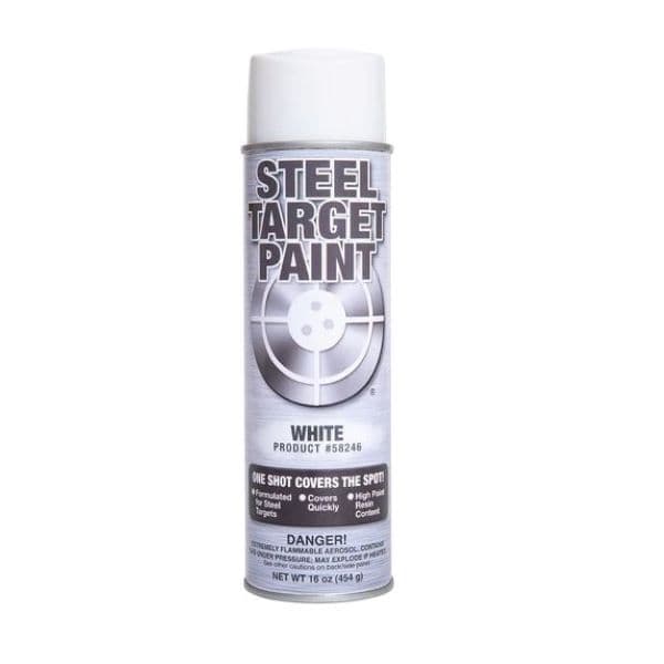 White Steel Target Paint