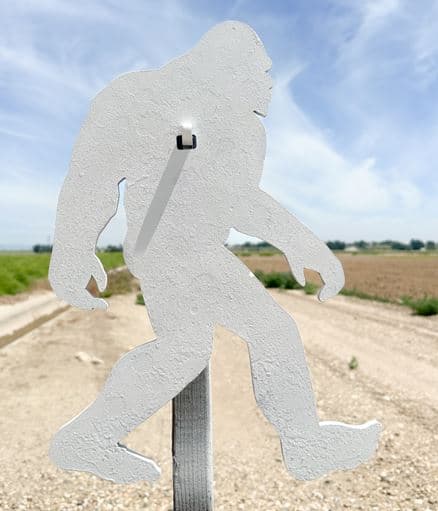 MLS 2X4 Sasquatch Package Steel Target