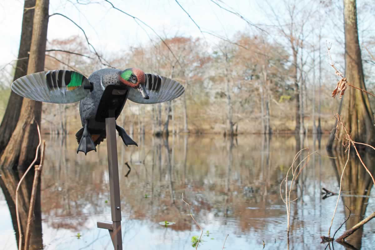 MOJO® Elite Series™ – Green Wing Teal – Remote Ready - thumbnail 2