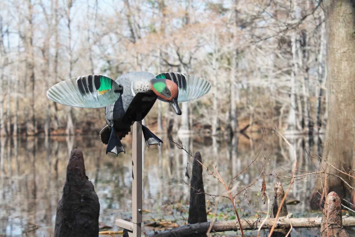 MOJO® Elite Series™ – Green Wing Teal – Remote Ready - thumbnail 3
