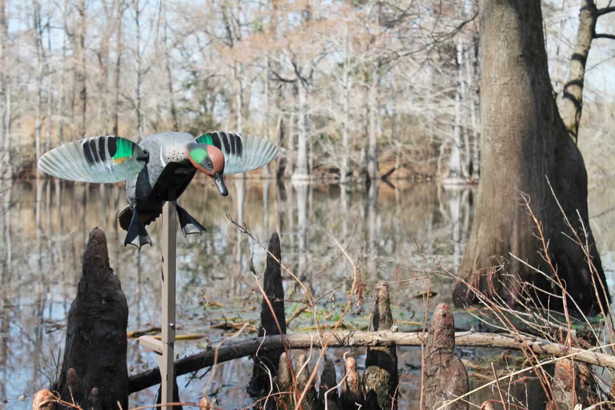 MOJO® Elite Series™ – Green Wing Teal – Remote Ready - thumbnail 5