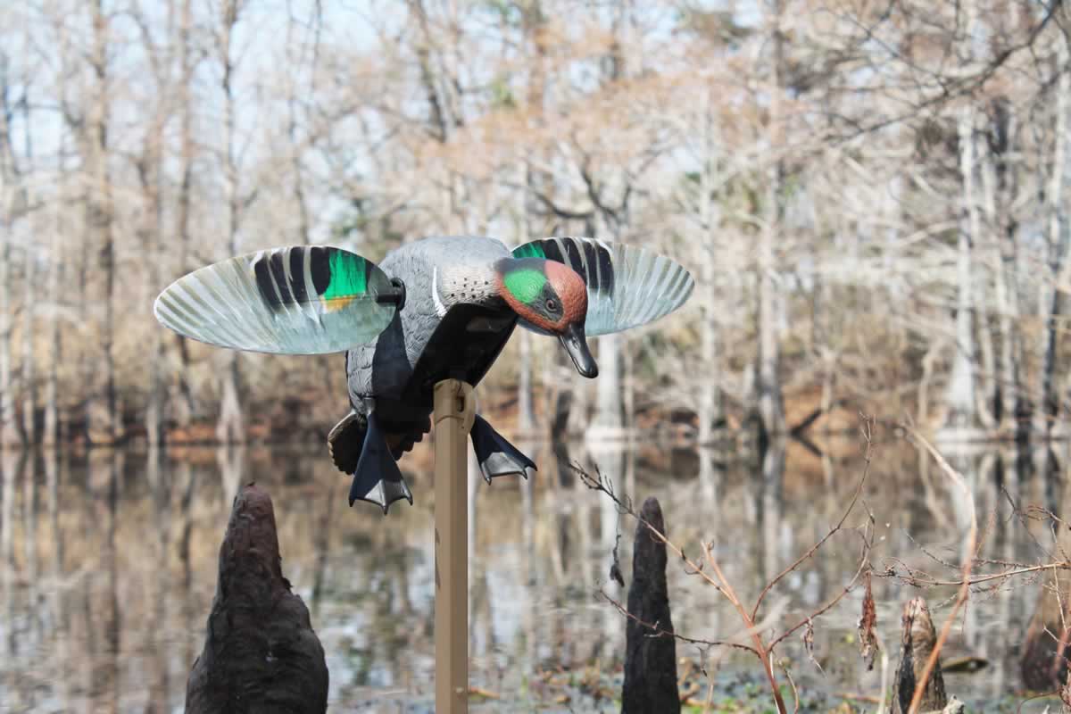 MOJO® Elite Series™ – Green Wing Teal – Remote Ready - thumbnail 4