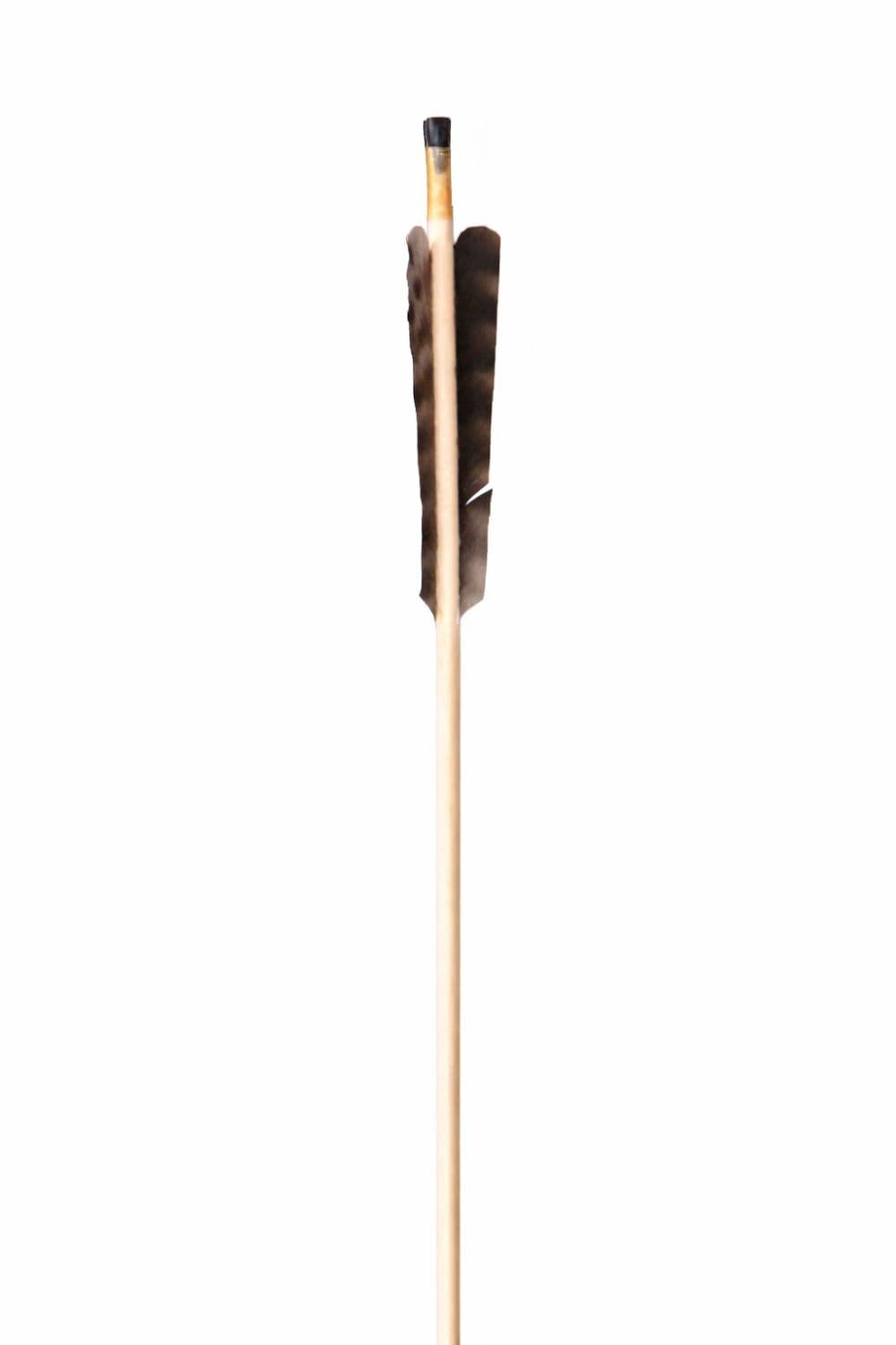 Fire Arrow - thumbnail 2