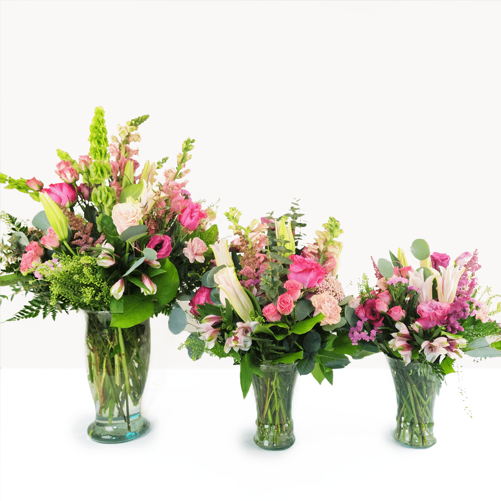 Geneva Pink - thumbnail 4