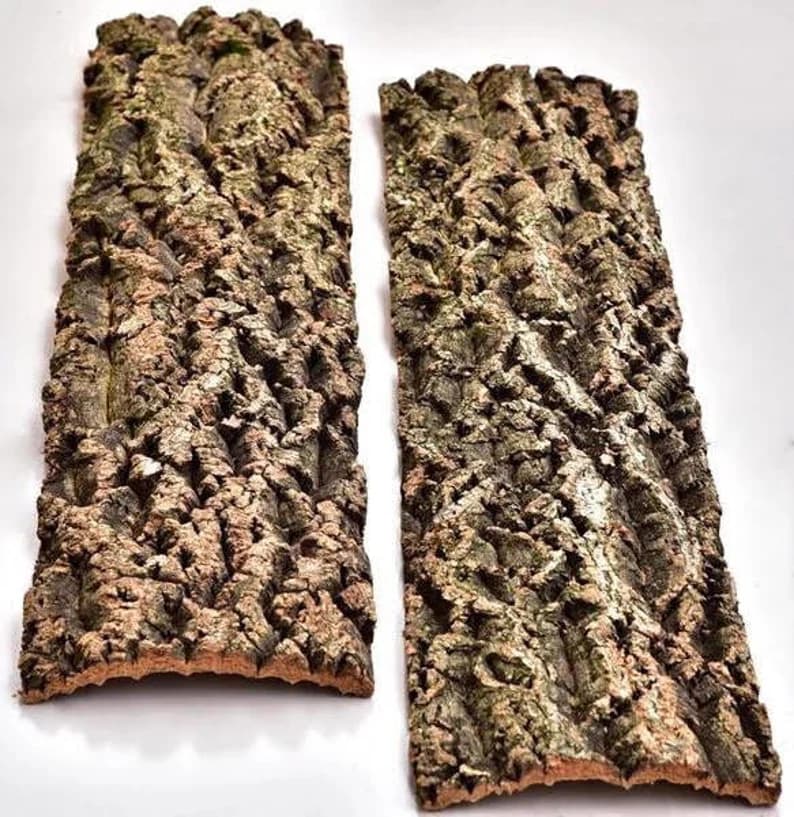 Cork Oak Panel (Natural)