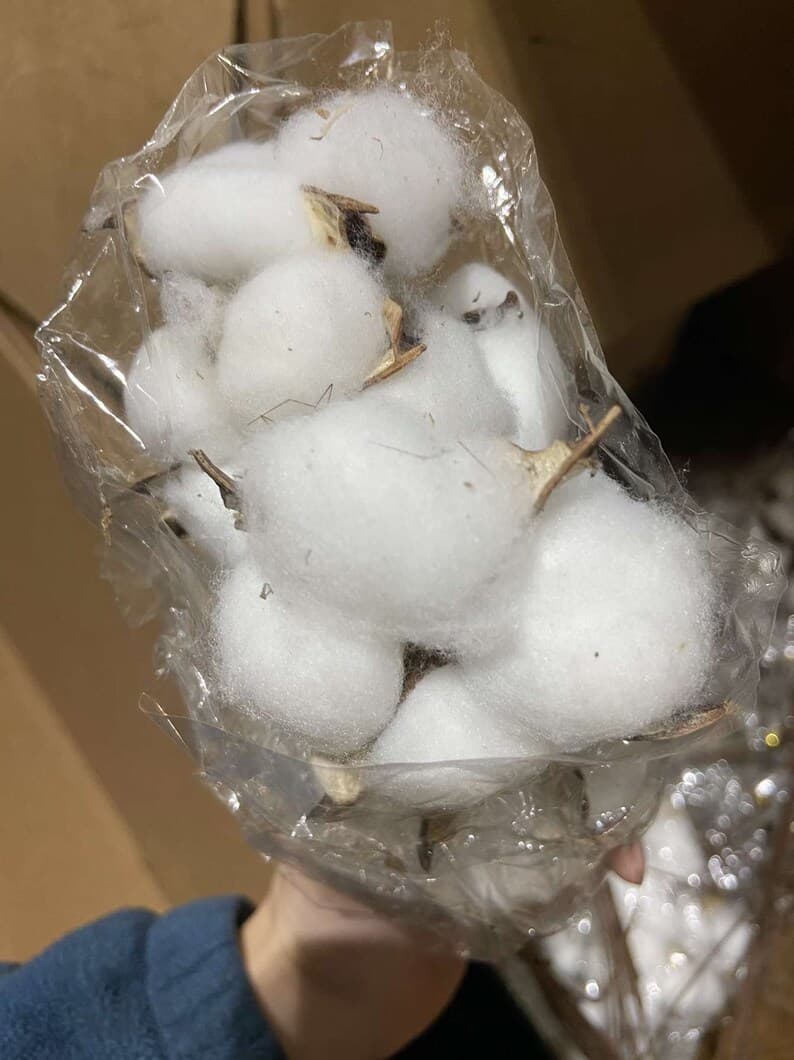 White Fluffy Cotton Stems – Farmhouse Decor - thumbnail 2