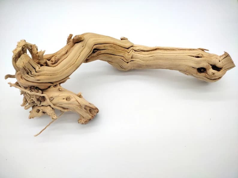 Dried Honeysuckle (Terrarium Friendly)