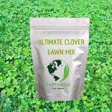 Ultimate Clover Alternative Lawn Mix