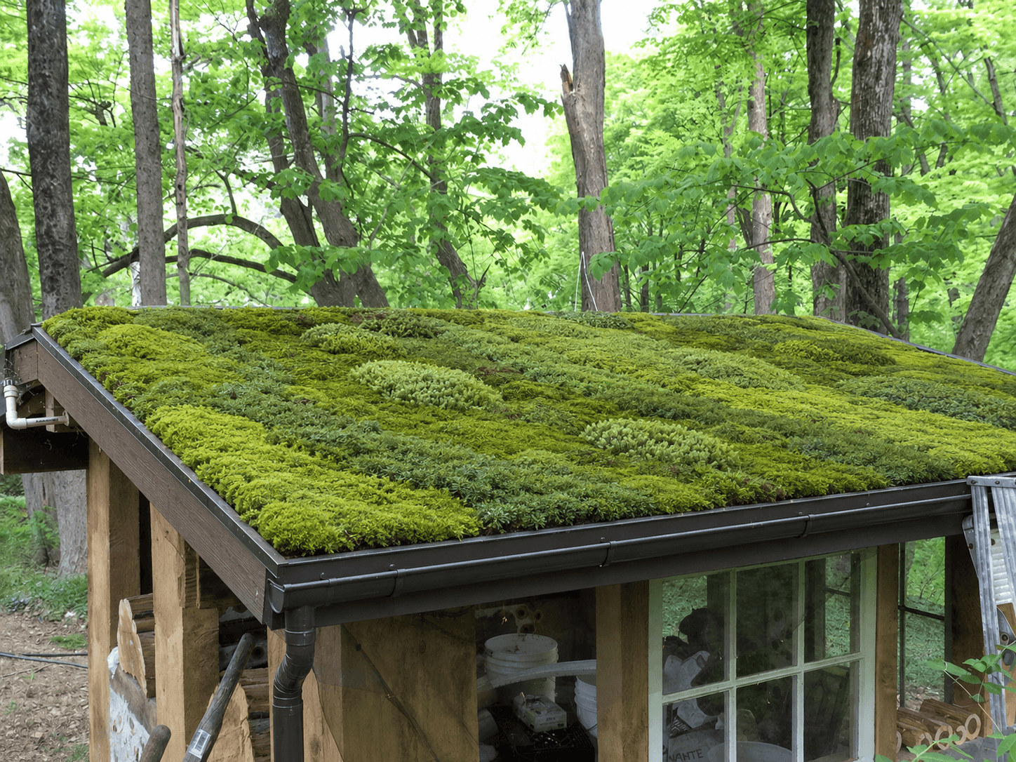 Live Moss Roofs