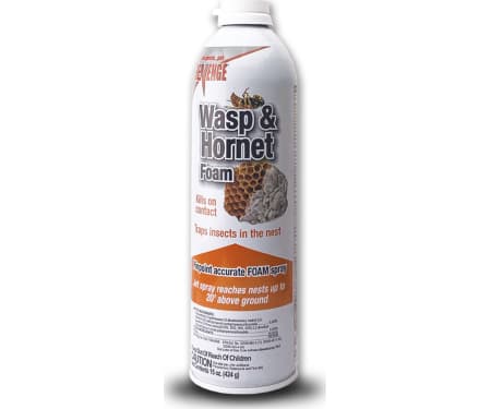 Revenge Wasp/Hornet Foam Spray 15oz