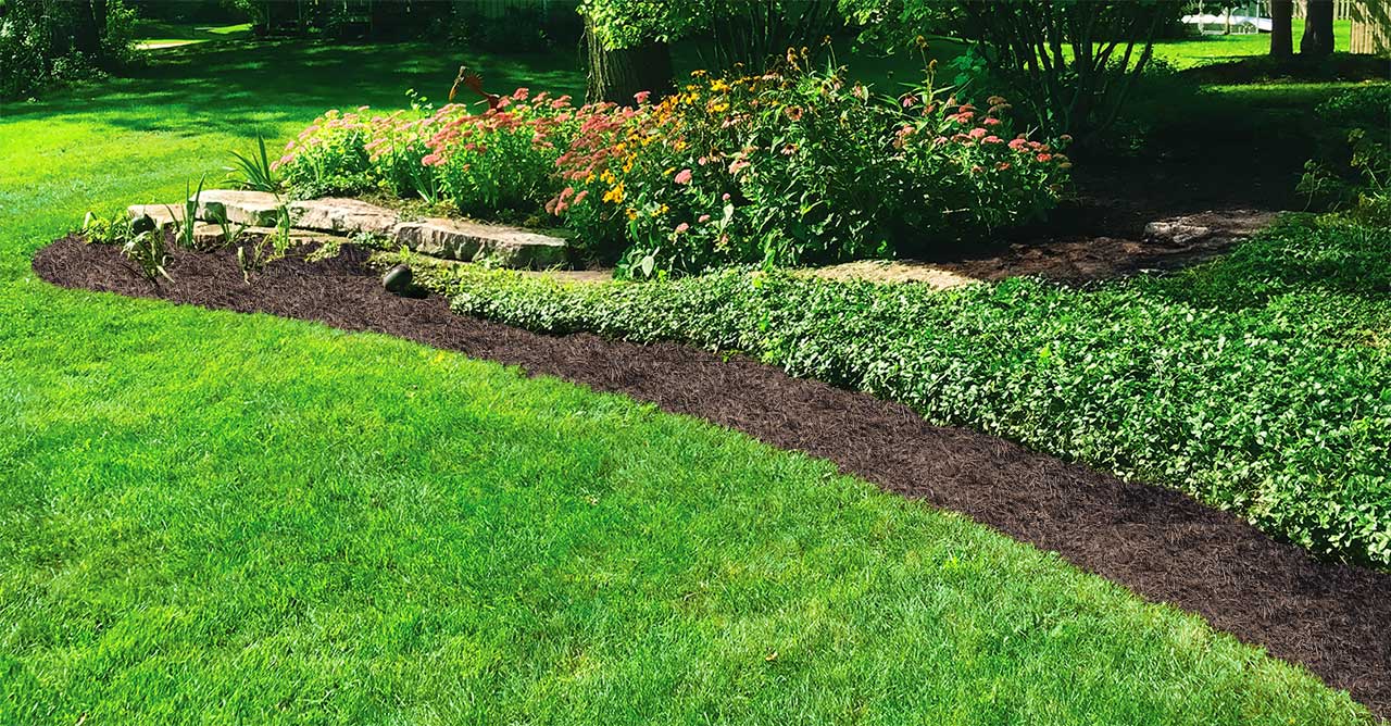 Color Enhanced Mulch – Chocolate Brown - thumbnail 2