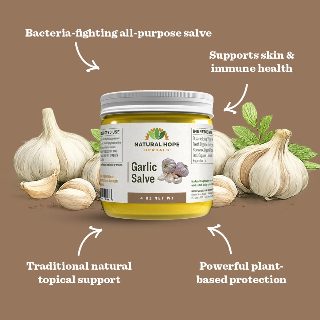 Garlic Salve - thumbnail 3