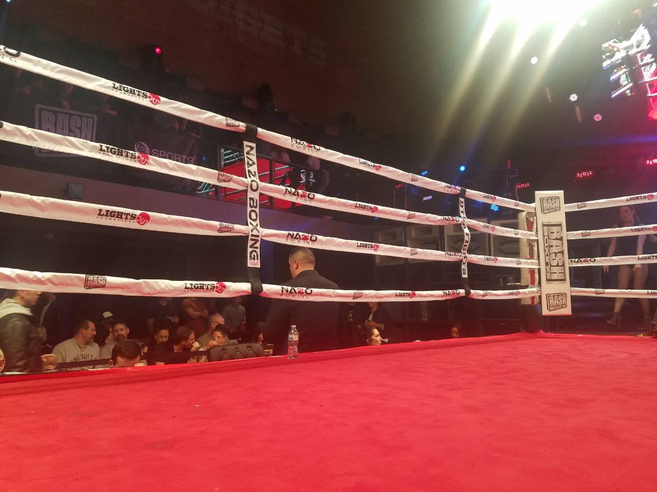 Boxing Ring Dressing 24×24 - thumbnail 2