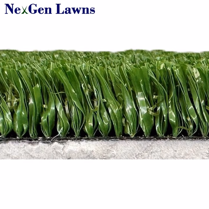 NGL Arena with 5mm Foam Pad