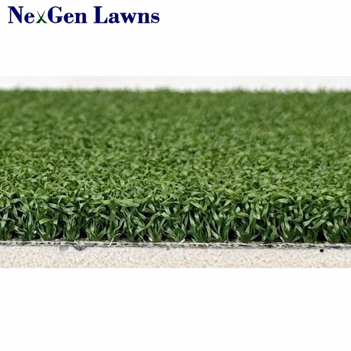 NGL Basic Trainer with 5mm Foam Pad