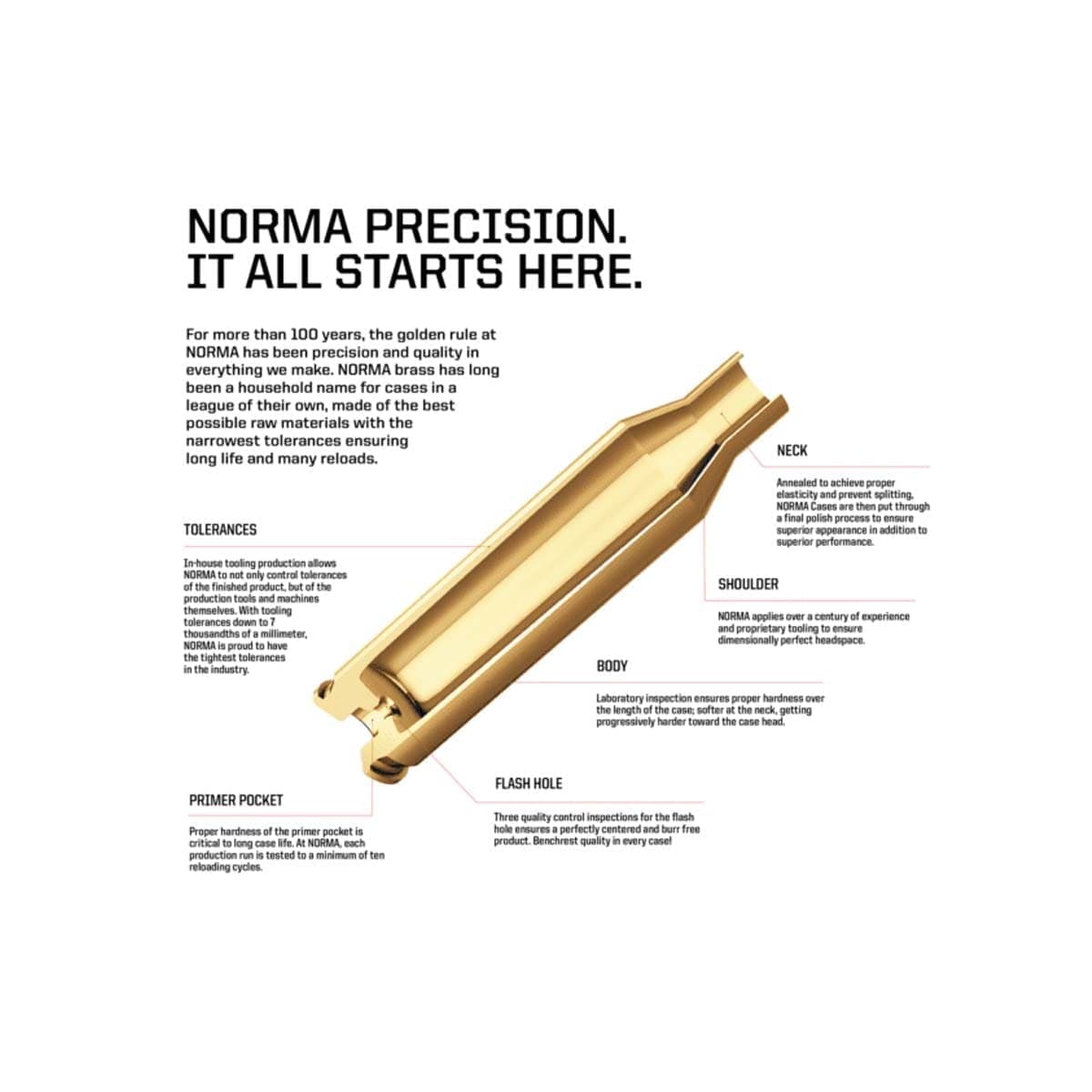 204 Ruger NORMA RELOADING BRASS 50 QTY - thumbnail 2