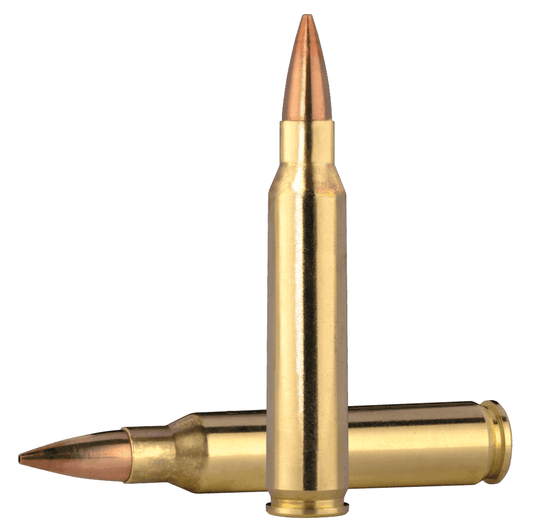 NORMA MLE 5.56 TSX 70GR QTY 20 - thumbnail 2