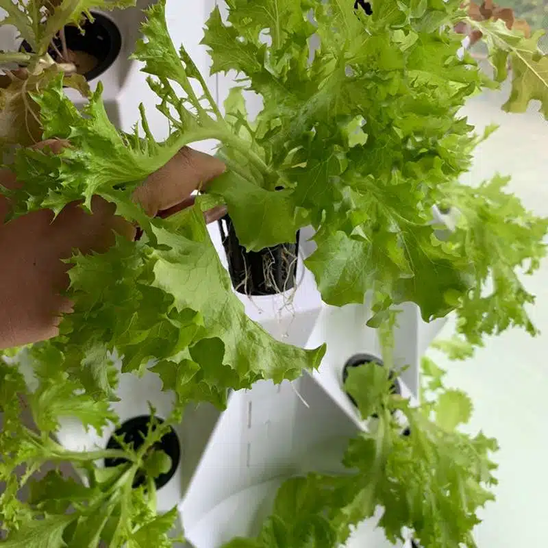 Aeroponic Tower Garden with LED  Grow Lights - thumbnail 5
