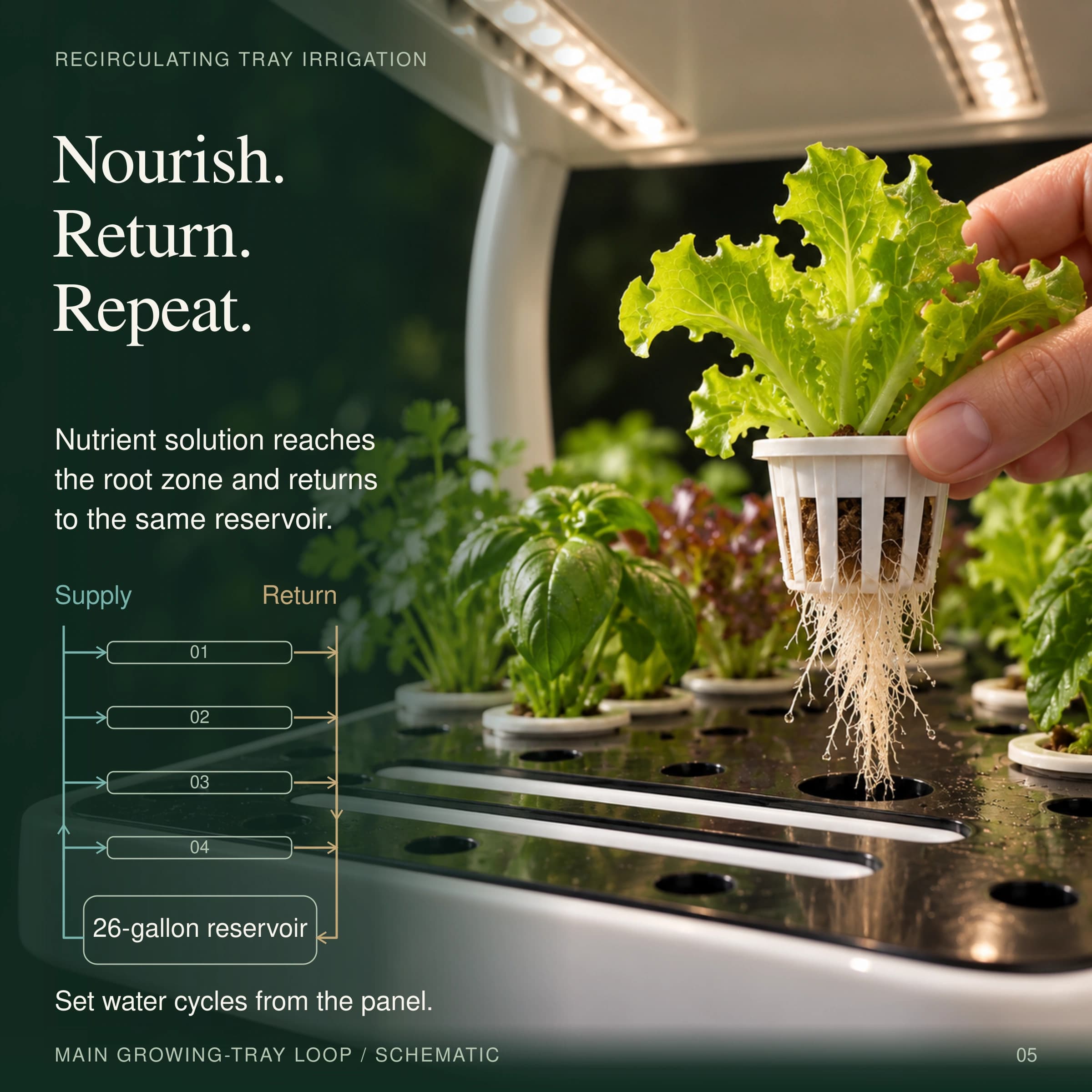 Automated Hydroponic System with LED Grow Lights | Nutraponics Pro Shelf (72 Sites) - thumbnail 6