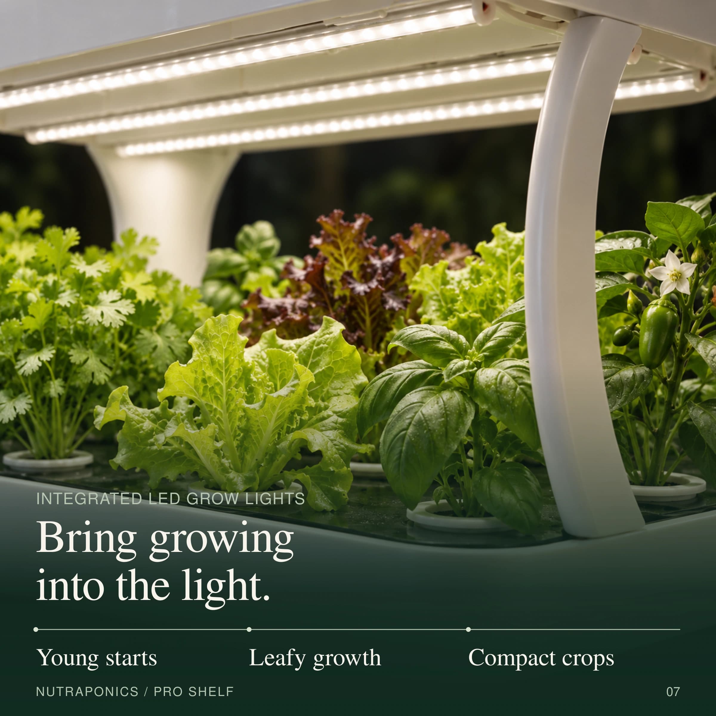 Automated Hydroponic System with LED Grow Lights | Nutraponics Pro Shelf (72 Sites) - thumbnail 8