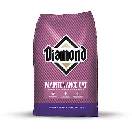 Diamond Maintenance Cat Dry Cat Food