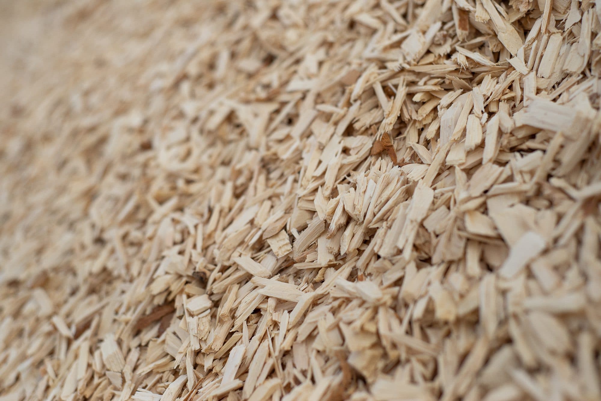 Playground Chips