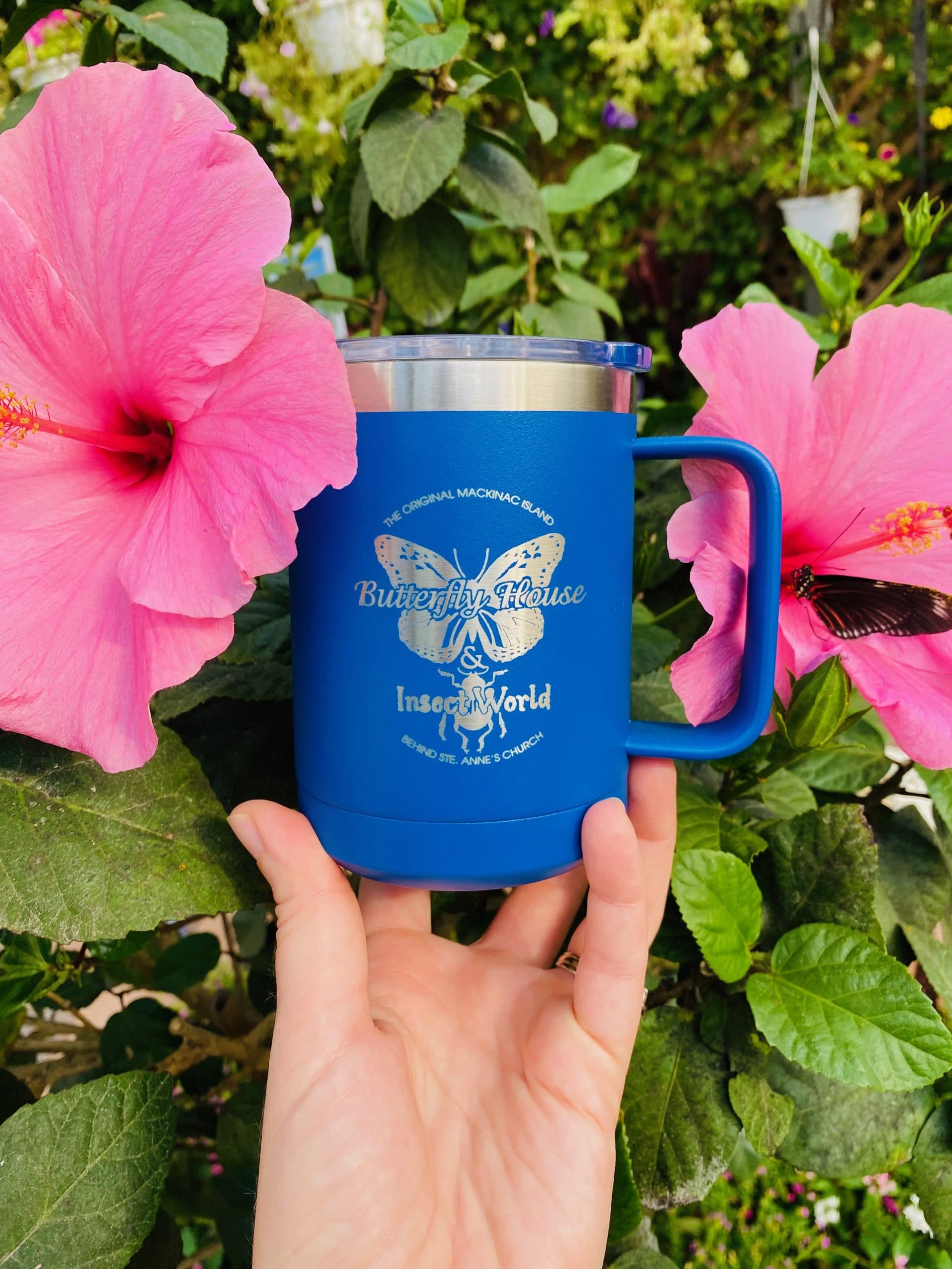 Butterfly House &amp; Insect World Logo Travel Mug