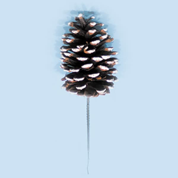4″ White Tipped Jumbo Pine Cone Pick