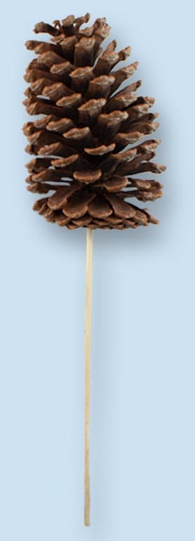 4.5″ Natural Jumbo Pine Cone Pick