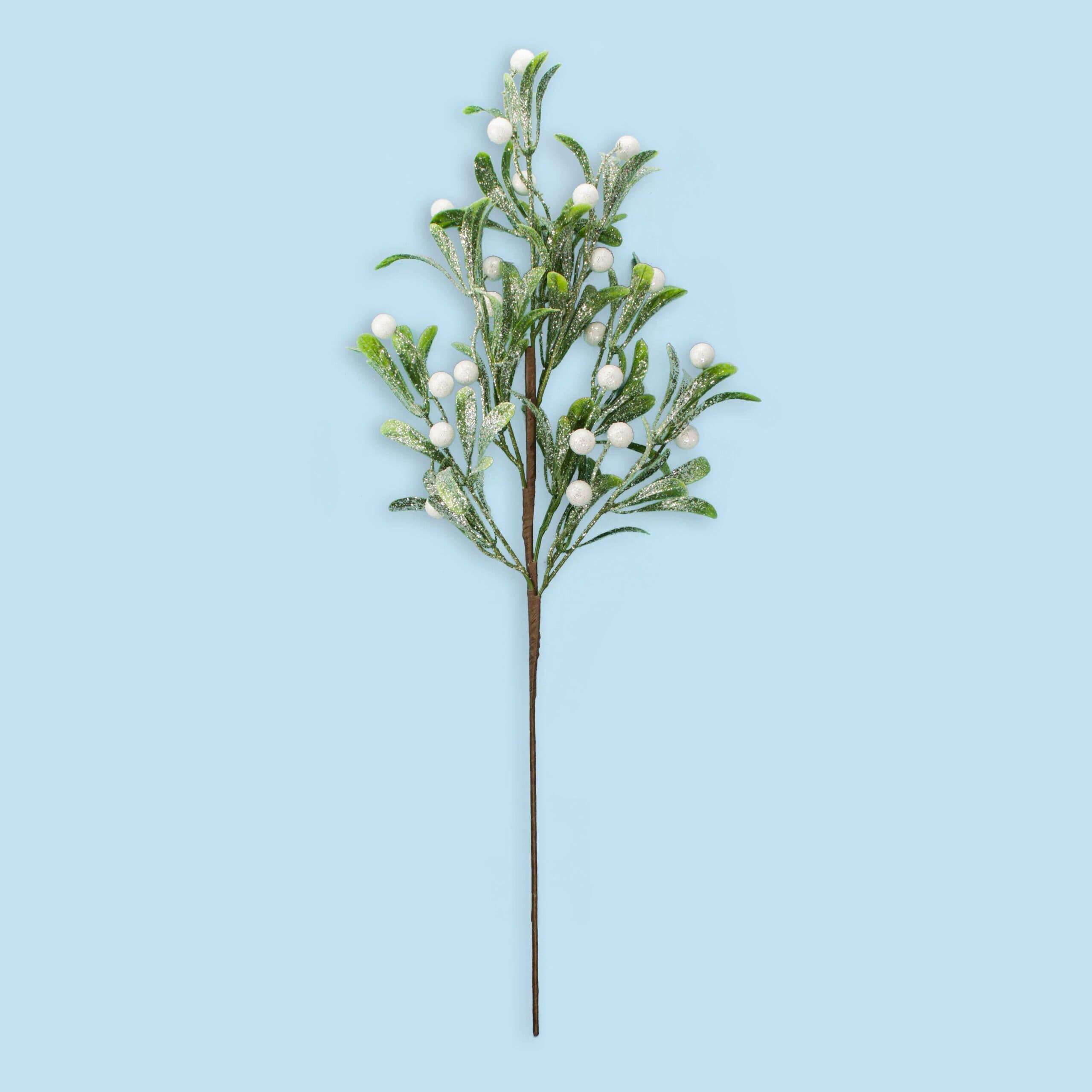 24″ Mistletoe Spray