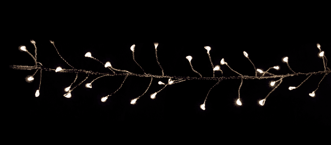 300 LED Crab Set – Warm White