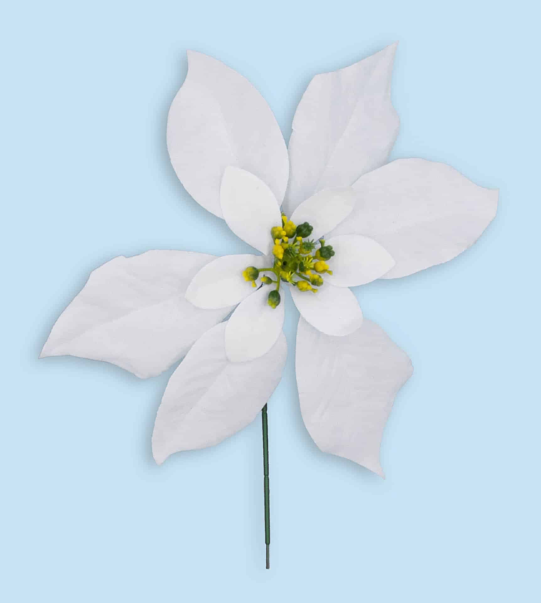 White Poinsettia Pick