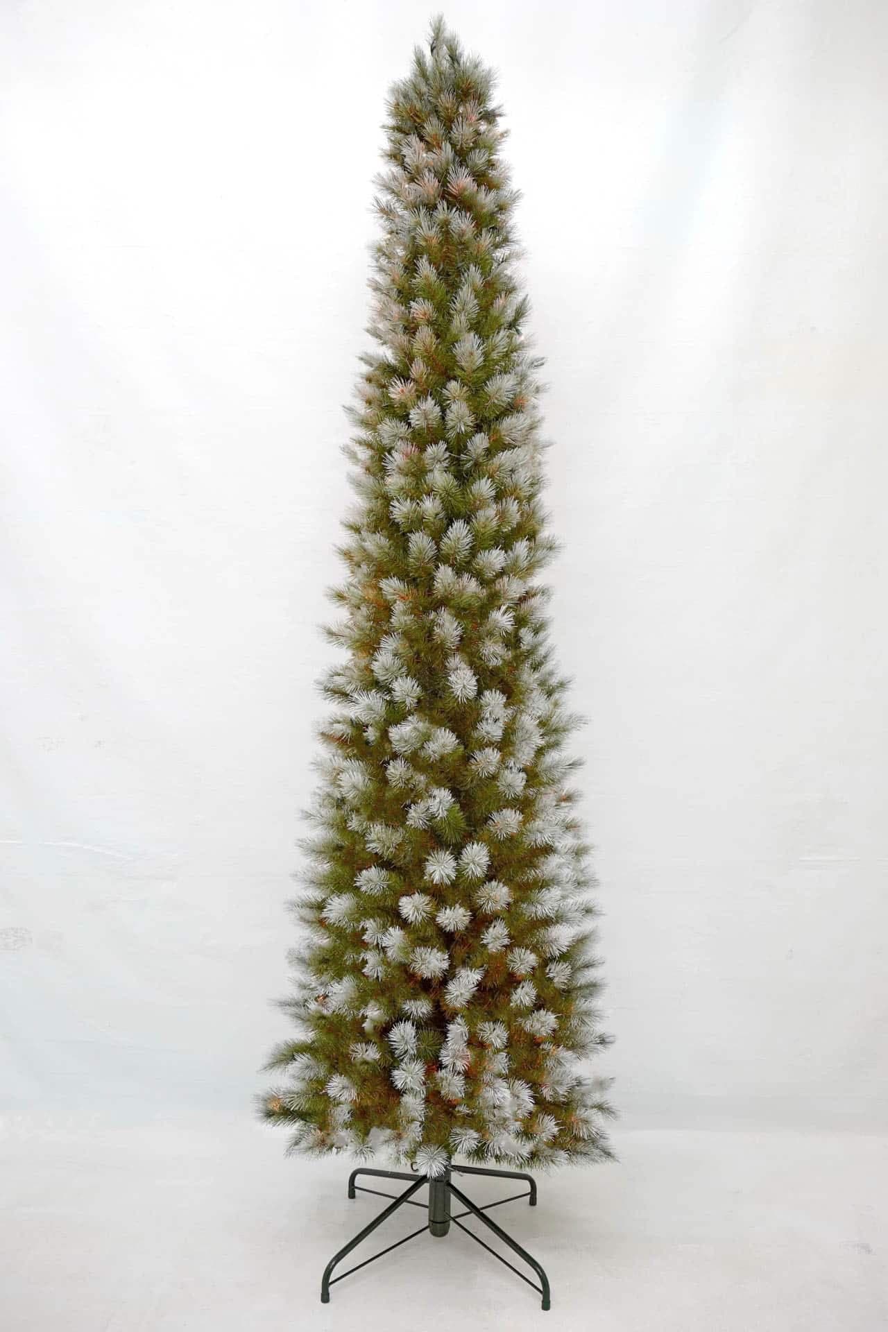 Unlit Italian Cypress – 9′