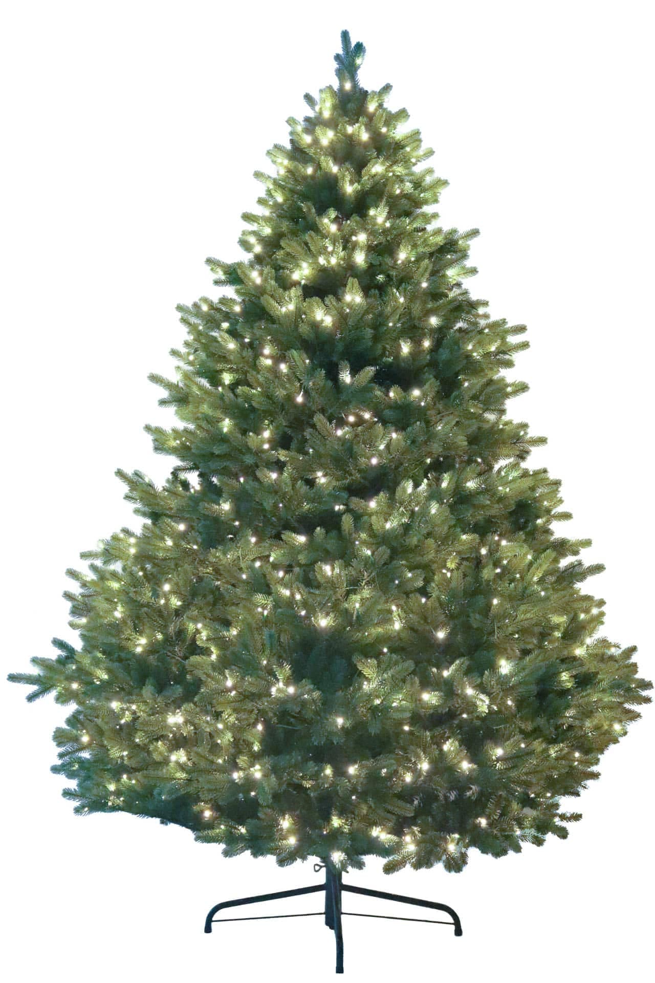 Prelit LED Royal Fraser Fir – 7.5′, Warm White