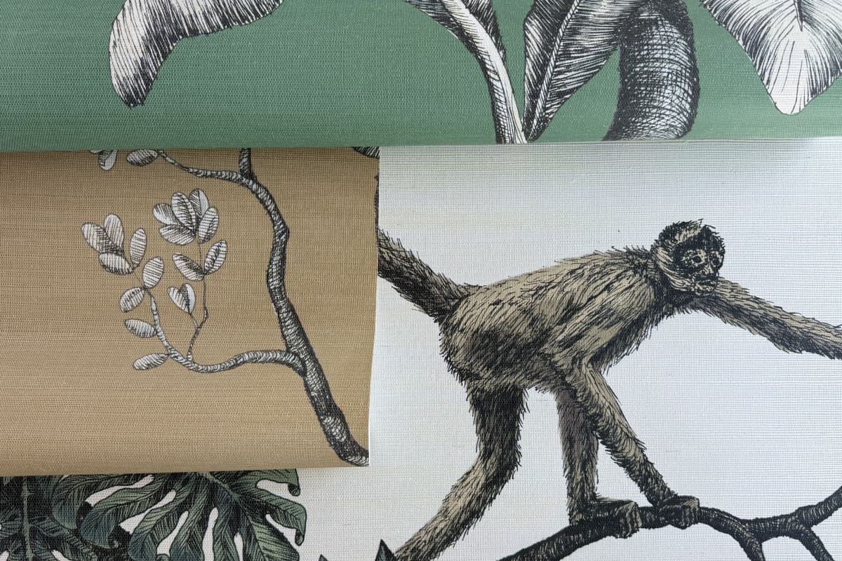 Monkey Business - thumbnail 3