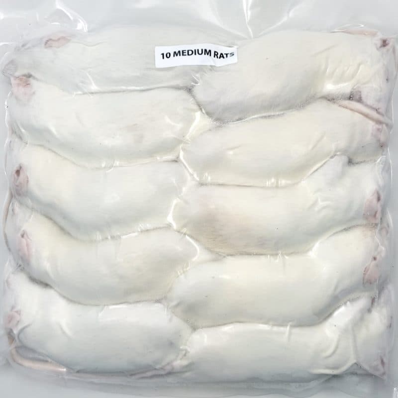 Medium Rats (10/Pack)