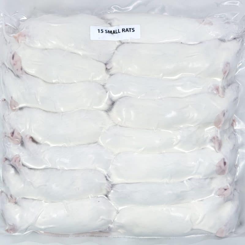 Small Rats (15/Pack)