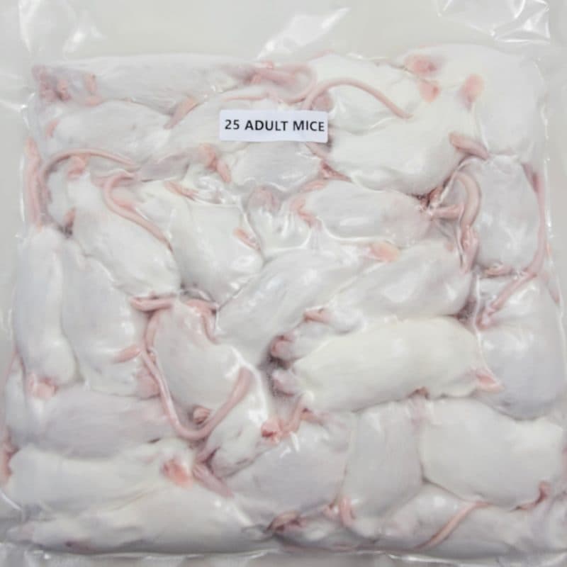 Adult Mice (25/Pack)