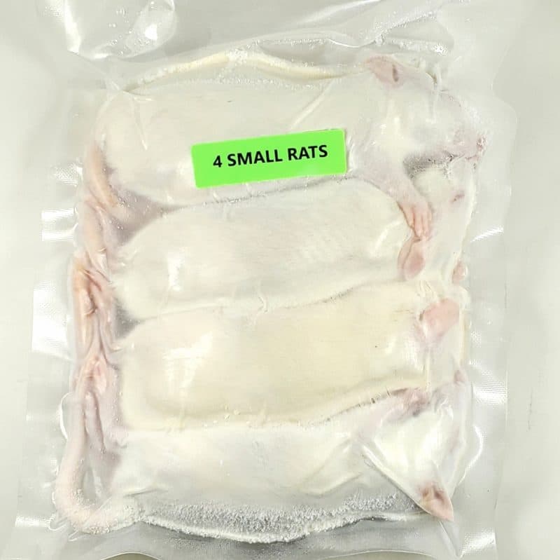 Small Rats (4/Pack)
