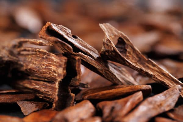 Oud Samrat (Firmenich)