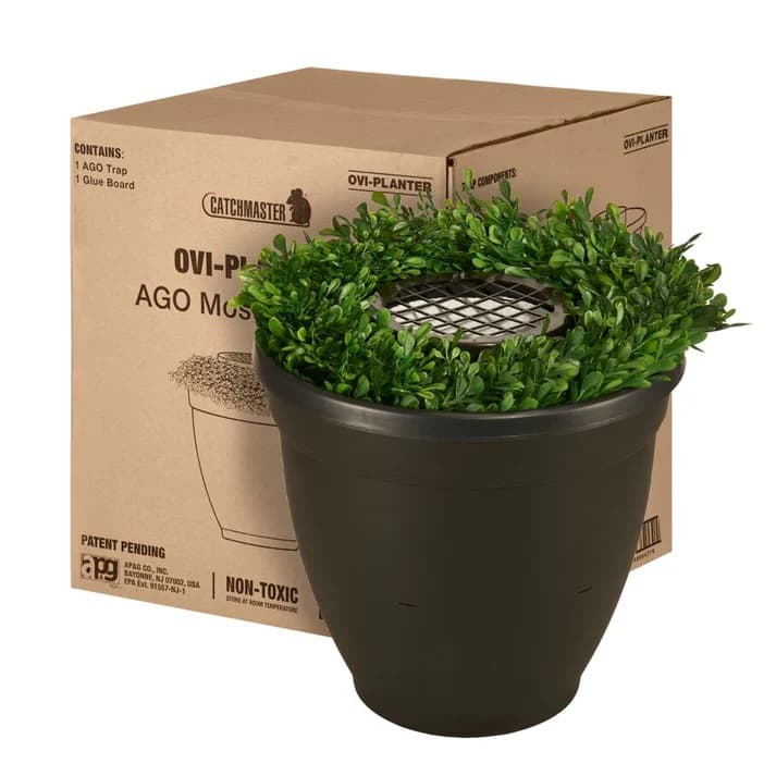 Ovi-Planter Mosquito Trap- Catchmaster - thumbnail 2