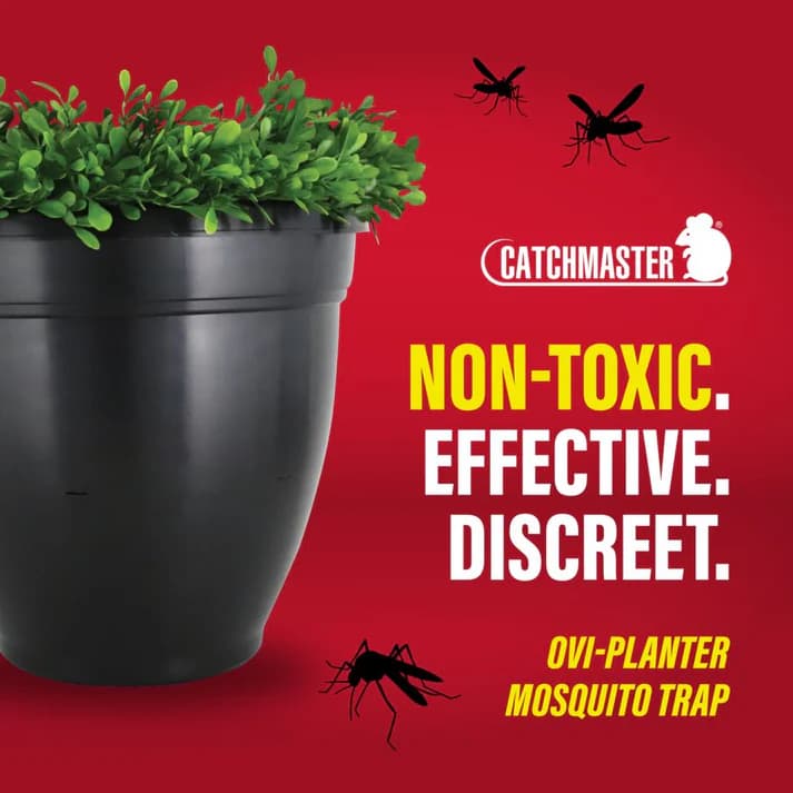 Ovi-Planter Mosquito Trap- Catchmaster - thumbnail 4