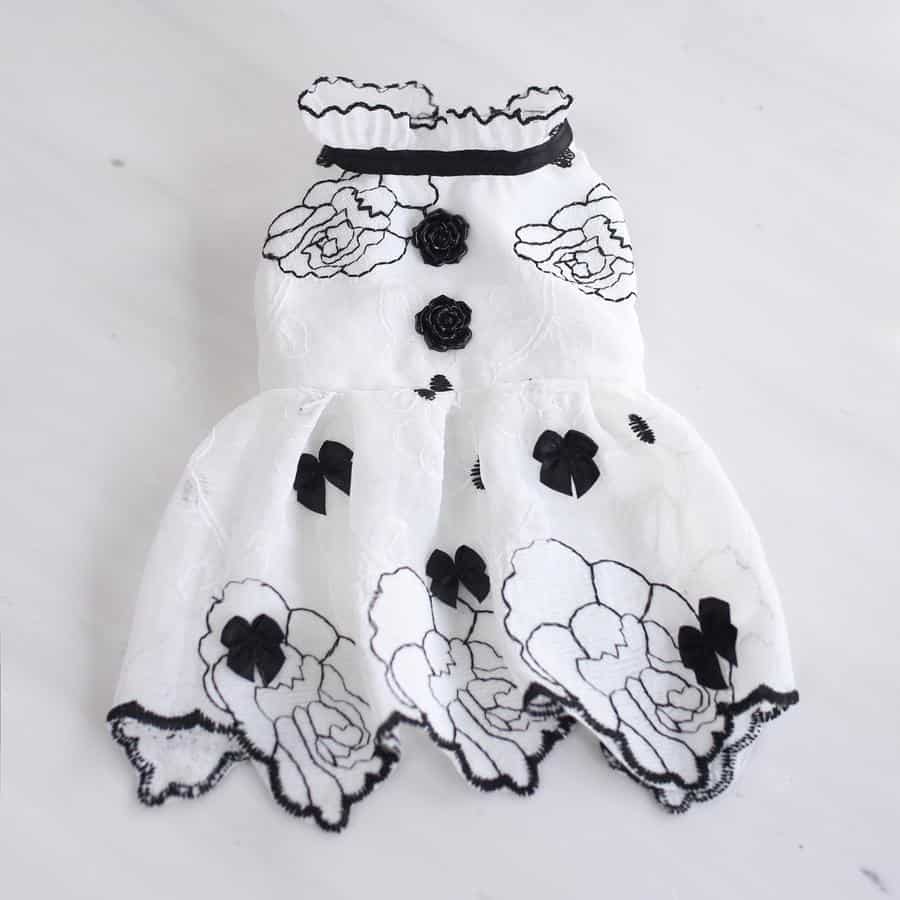 Luxury Isabella Dog Dess
