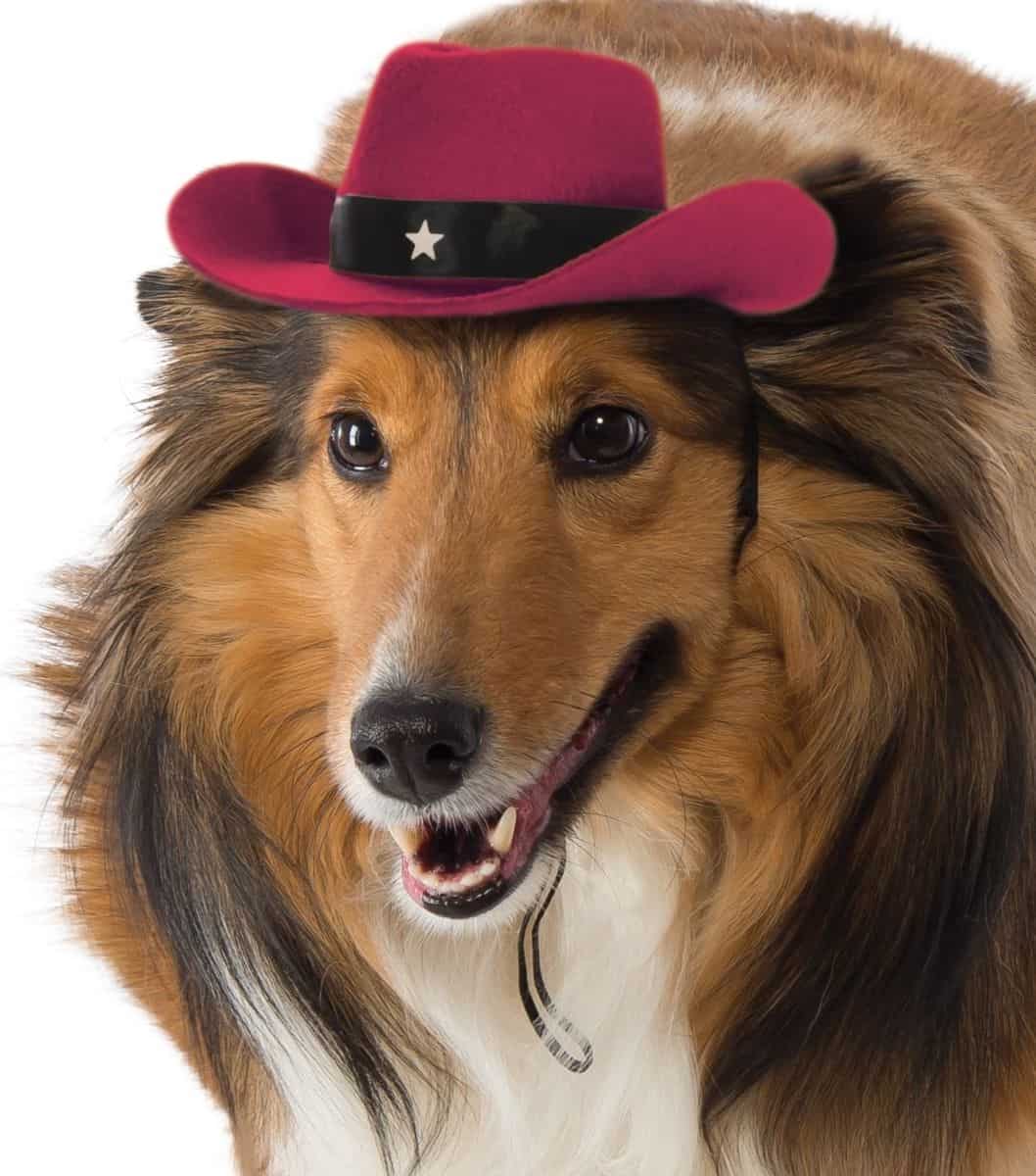 Red Cowboy Hat