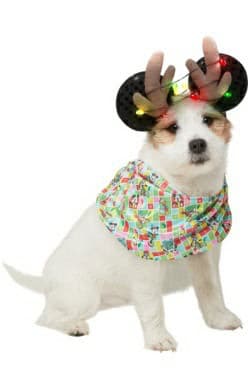 Mickey Reindeer Holiday Set