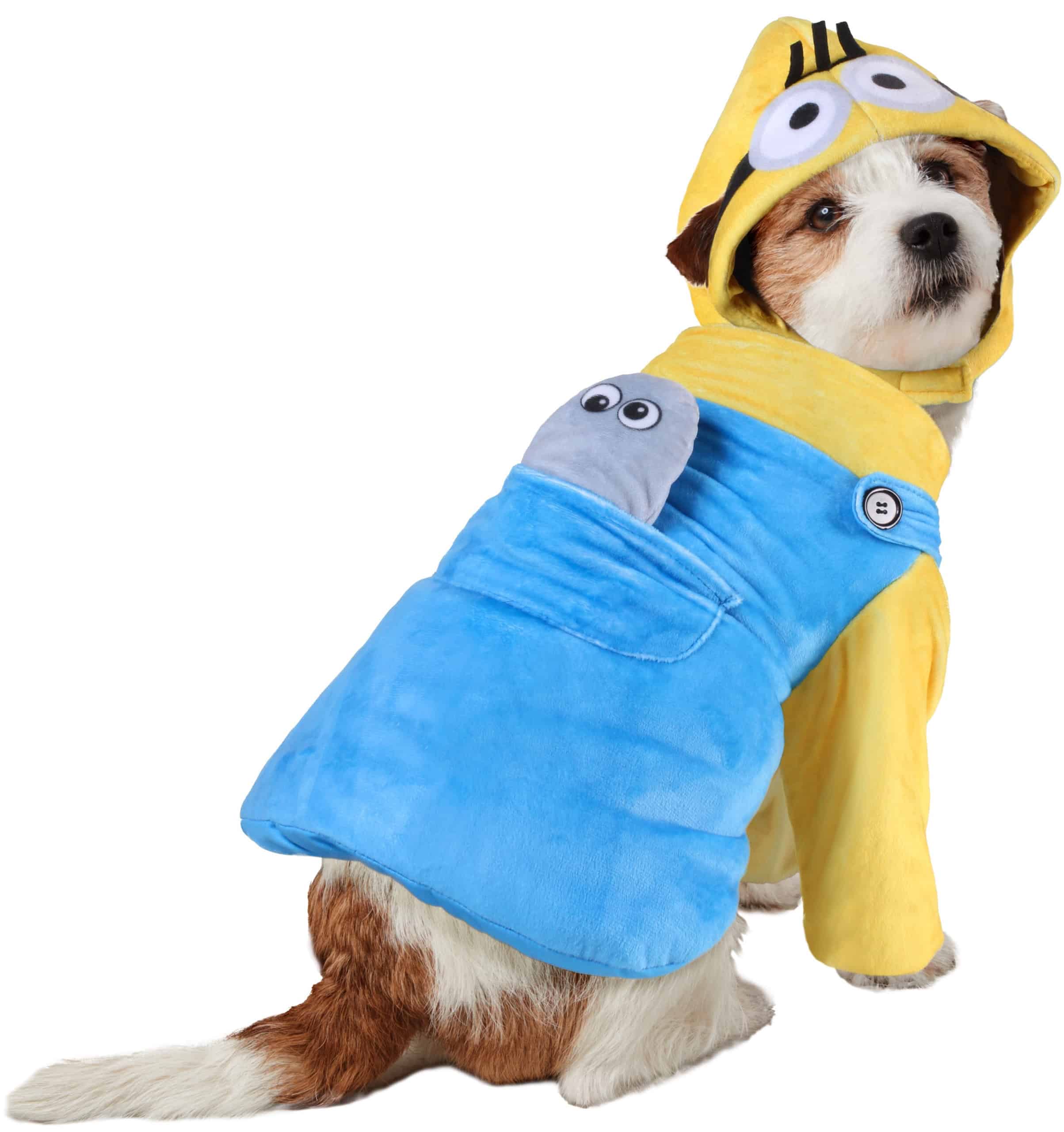Minion Otto Dog & Cat Costume