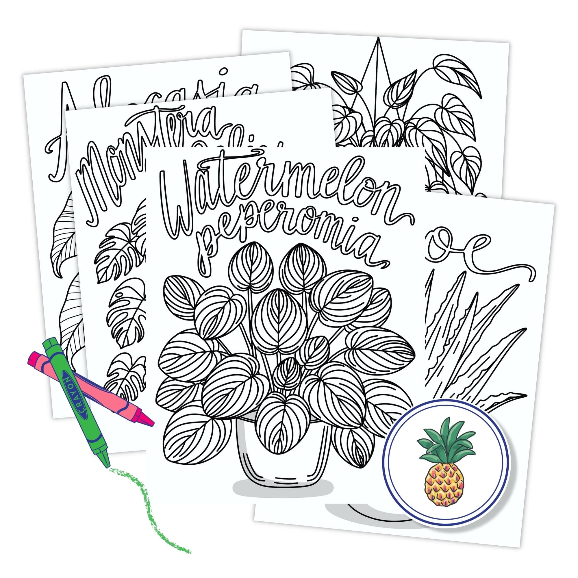 Houseplant Coloring Pages - thumbnail 2