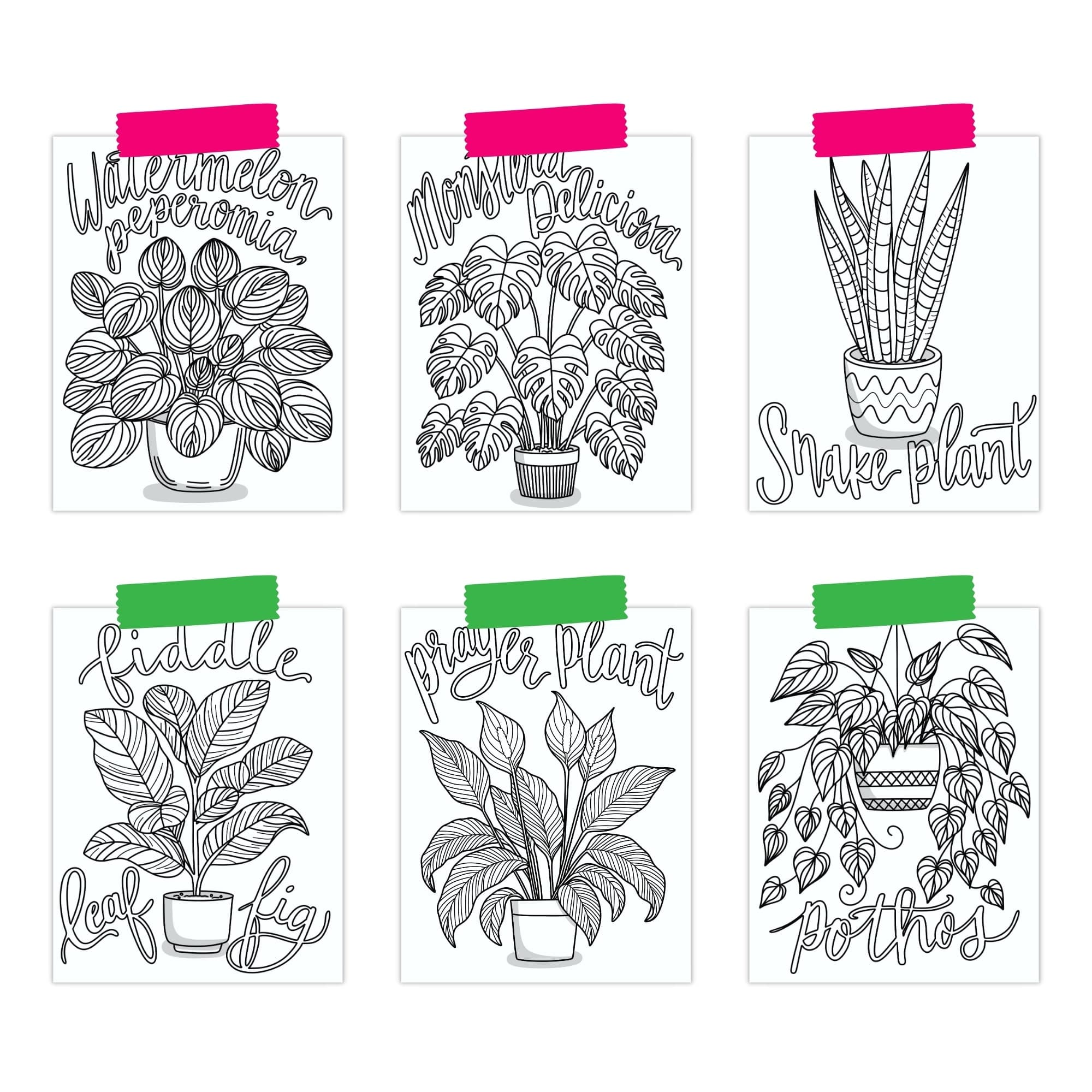 Houseplant Coloring Pages - thumbnail 3