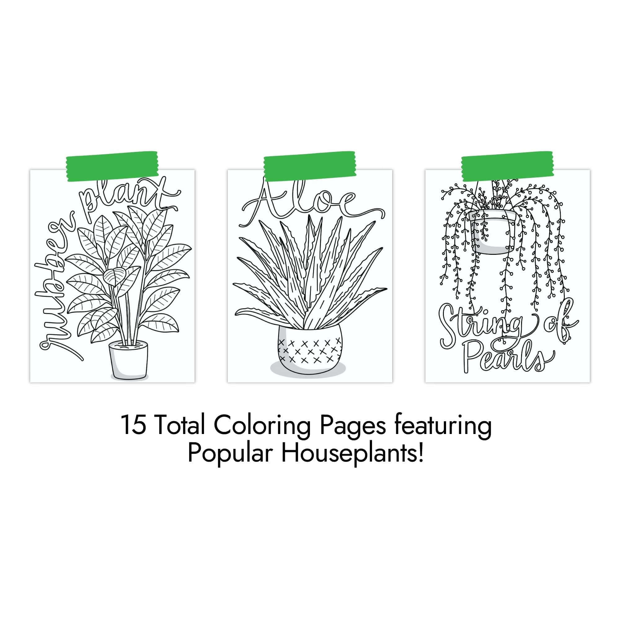 Houseplant Coloring Pages - thumbnail 5